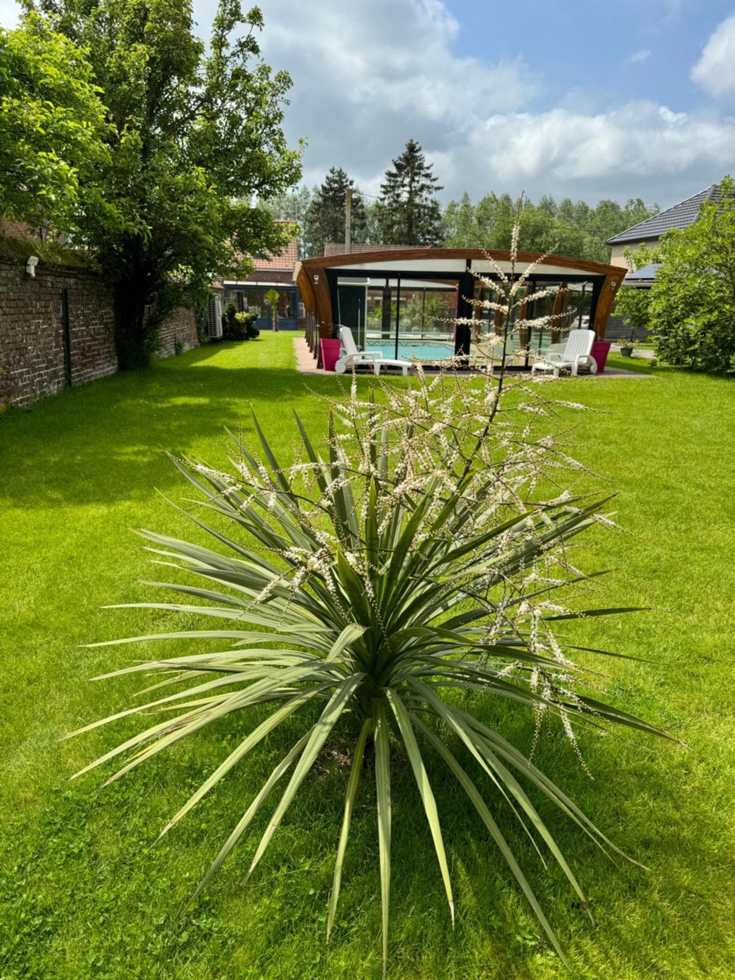 Gite Avec Piscine Lestrem 外观 照片